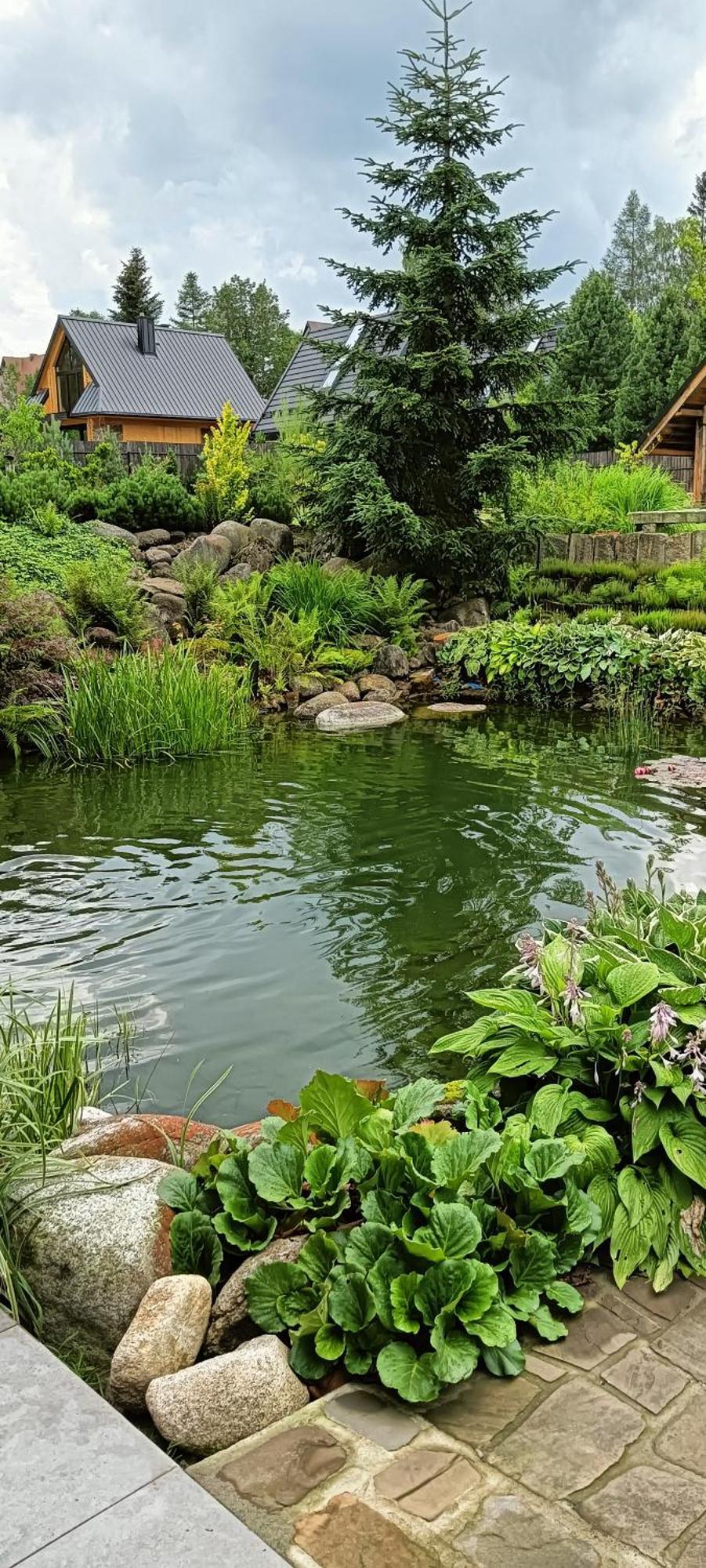 Apartament Nad Stawem Zakopane Kültér fotó