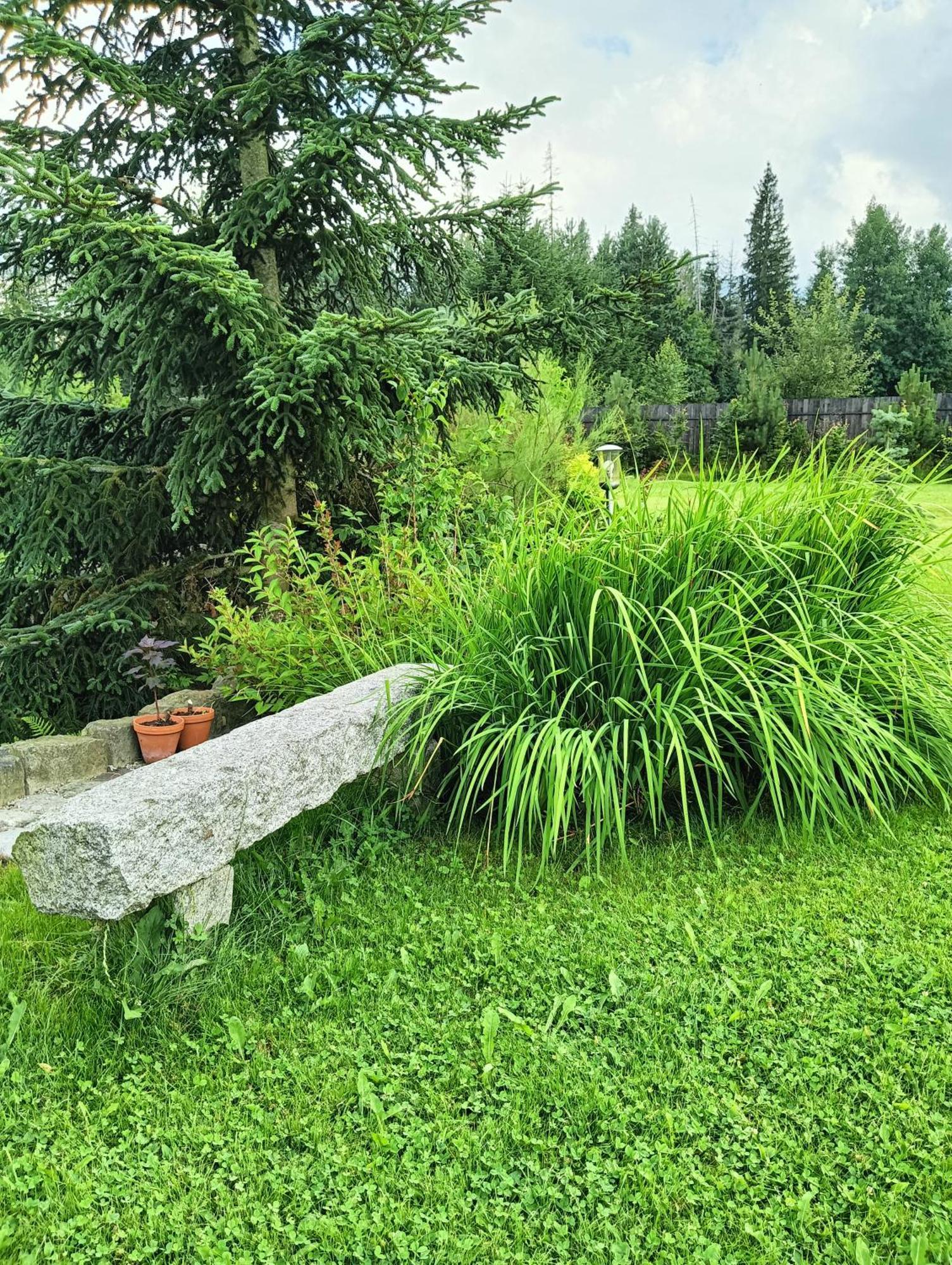 Apartament Nad Stawem Zakopane Kültér fotó