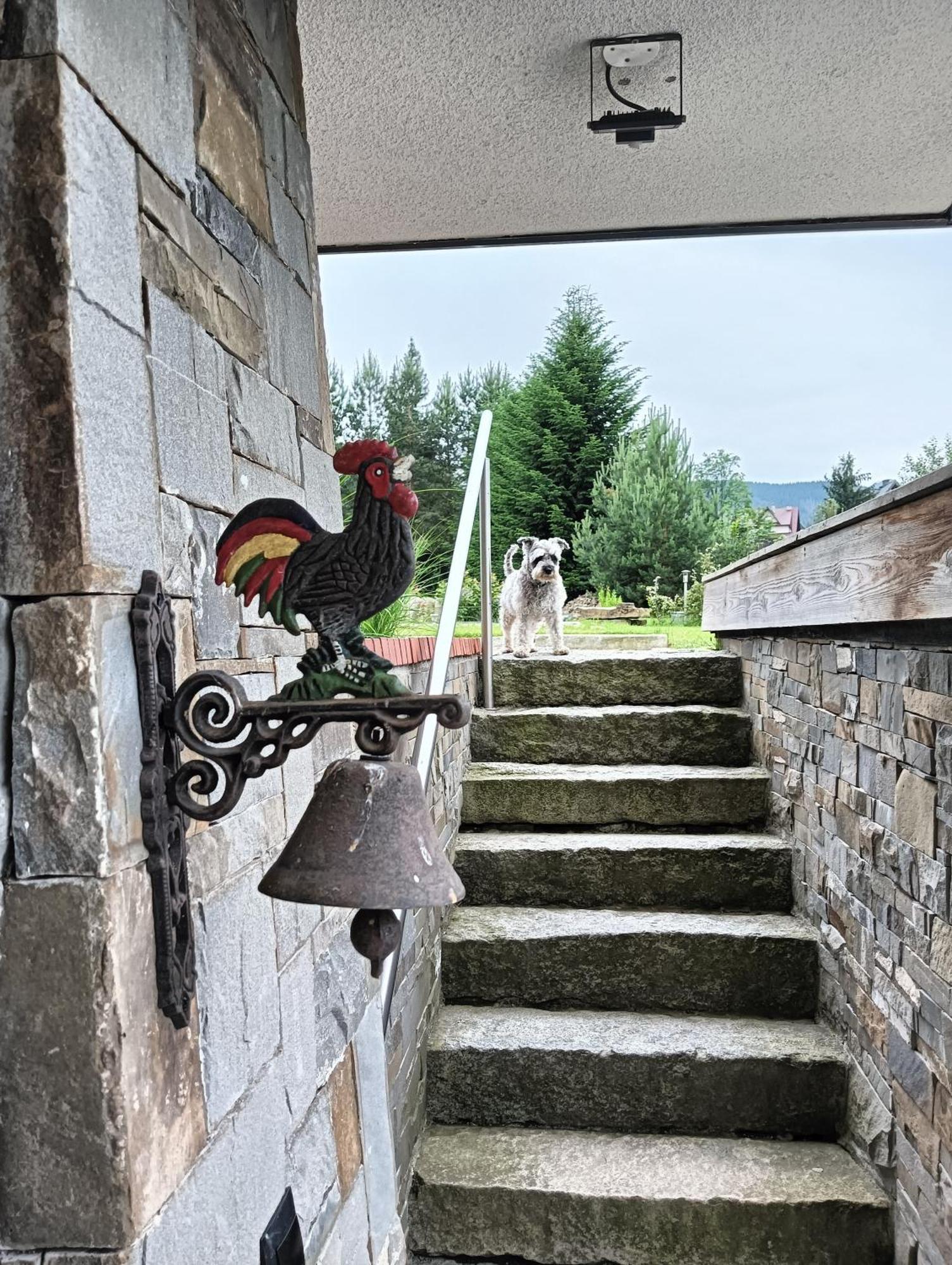 Apartament Nad Stawem Zakopane Kültér fotó